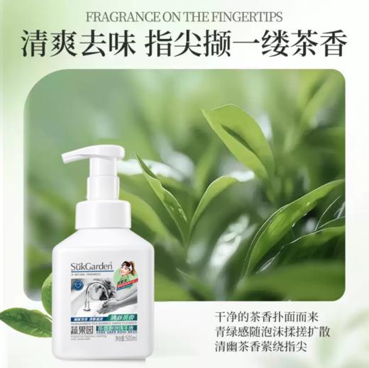蔬果园茶香泡泡洗手液 清新滋润型500ml-5664新老包装随机发货 商品图5
