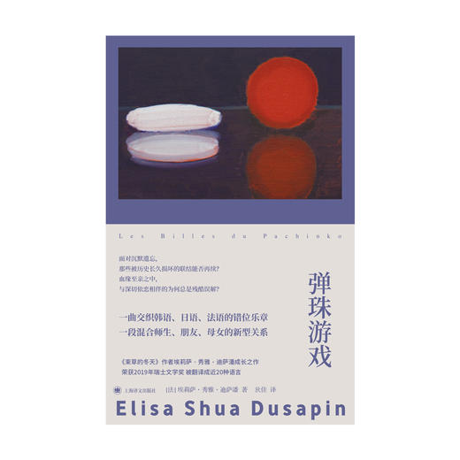 弹珠游戏 群岛图书 [法]埃莉萨·秀雅·迪萨潘 著 狄佳 译 瑞士文学奖 三十岁女性 跨语言跨文化的身世找寻【上海译文】 商品图2