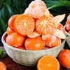 广西茂谷柑（脏脏柑）新鲜沃柑橘新鲜到爆！皮薄肉嫩，汁多味甜，吃一口就爱上！ 商品缩略图1