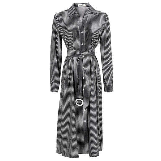 剩M 米思阳2025秋季新款polo领条纹收腰显瘦中长款A字连衣裙0343 商品图0