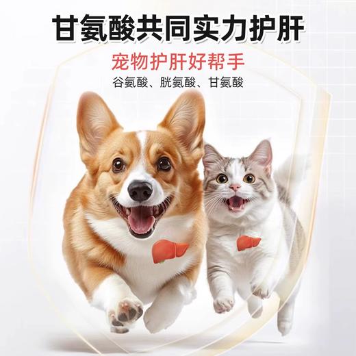 澳滋麦甘泰利猫咪护肝猫用护肝胶囊犬猫宠物肝脏保护狗狗护肝胶囊 商品图1