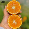 云南高原虎柑 8斤普通装 商品缩略图0