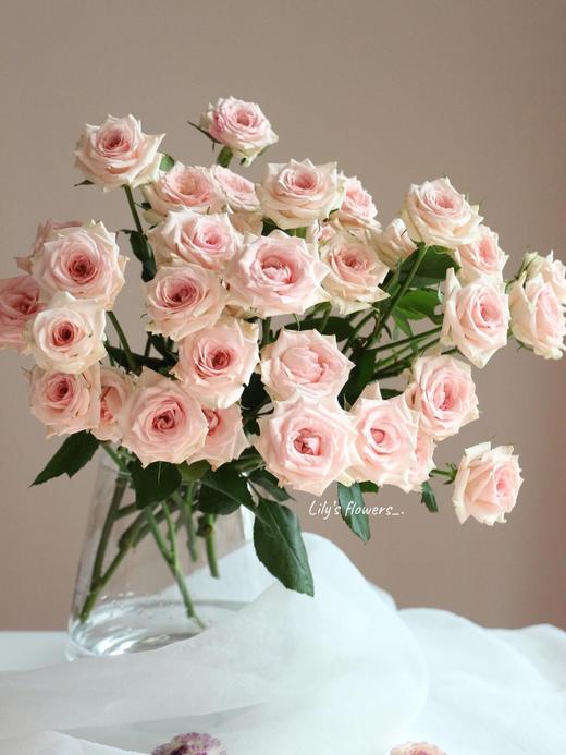 【AB级星悦宝贝多头玫瑰.第二件减10元】5支/份 长约60cm 商品图4