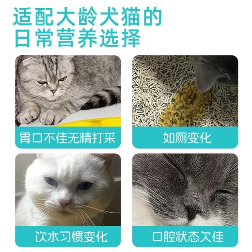 澳滋麦安肽活猫狗肾脏养护微乳剂排磷降氮嗜睡食欲差宠物营养补充剂 商品图1