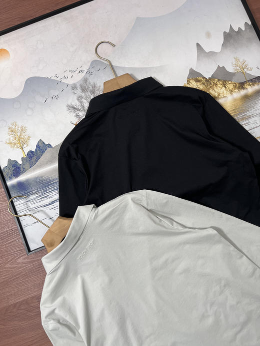 点此购买 可隆春秋季男士商务休闲长袖POLO衫 hh 341869 商品图11