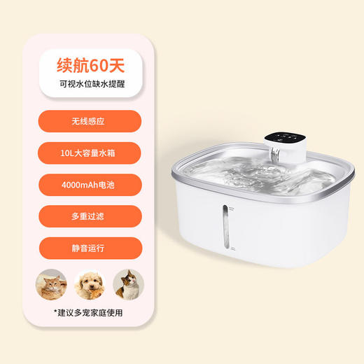 10L宠物智能饮水机喝水碗循环过滤不锈钢水盘防打翻猫咪饮水器 商品图1