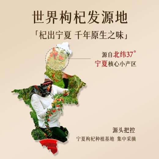 100g*3瓶 千年珍宁夏红枸杞 商品图1