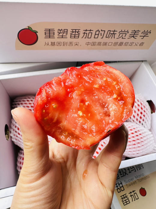超级玛丽甜番茄 商品图1