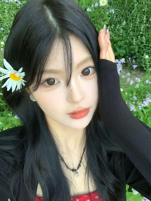 Doragina 日抛 可可杏仁 直径14.5mm着色13.9mm(含水55%版本) 商品图7