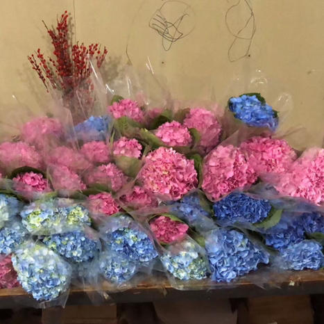 绣球随机10支（活动专用） 商品图1