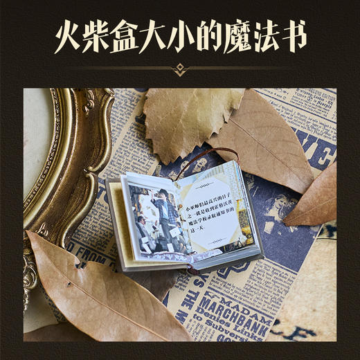 哈利波特袖珍书 霍格沃茨魔法学校（函套版） 商品图2