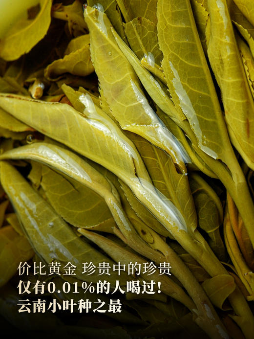 3月12日中午12点【新品预售】【猫耳朵单株】2026年头春头采茶中精灵“猫耳朵”云南仅有0.01％的茶种 100克/饼 5饼/提，每提加送60克同款散茶 商品图4