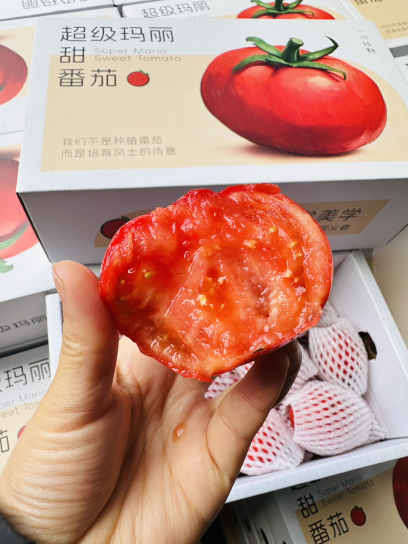 超级玛丽甜番茄