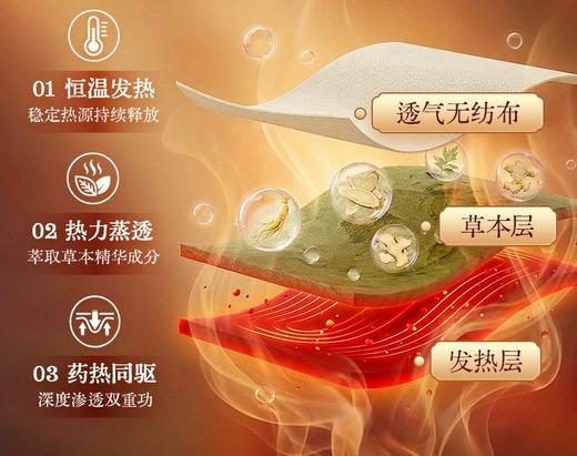 腰腹艾灸贴 1片/袋 传统艾灸精华 温暖呵护腰腹 商品图5