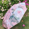 六折油画扁伞 | 29.9元秒杀！把美术馆揣进口袋 六折压缩至15cm，薄至4cm！抗风骨架 防水面料 晴雨双模式 商品缩略图2