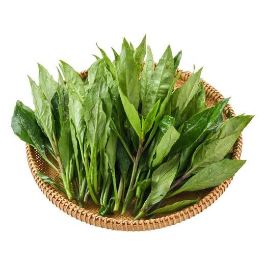 大青叶200g 商品图2