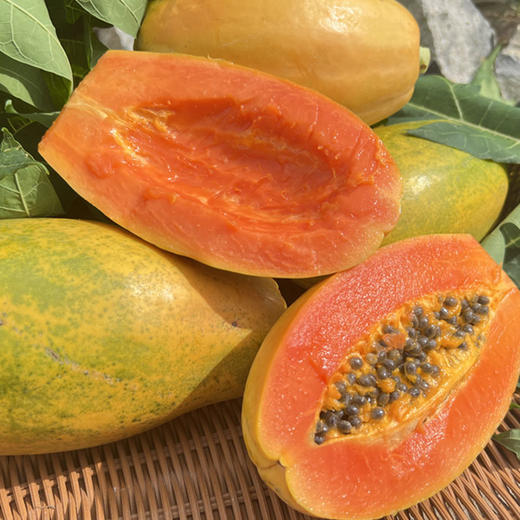 【海南好物】红心木瓜 香甜多汁 皮薄肉厚  浓浓果香 商品图0