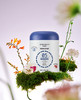 爱慕健康洗衣凝珠三腔桶装（30颗*15g） 商品缩略图2