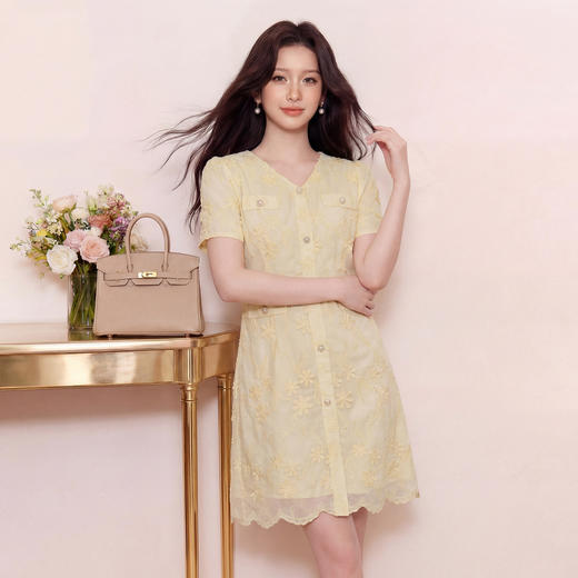 奢姿大码女装2026夏季立体花刺绣连衣裙胖妹妹温柔风V领茶歇裙9962860002 商品图1