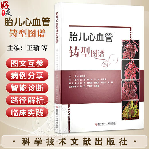 胎儿心血管铸型图谱 王瑜 邢辉 王斌 尹家保 主编 涵盖室间隔缺损、法洛四联症、大动脉转位等20余类畸形 科学技术文献出版社 商品图0