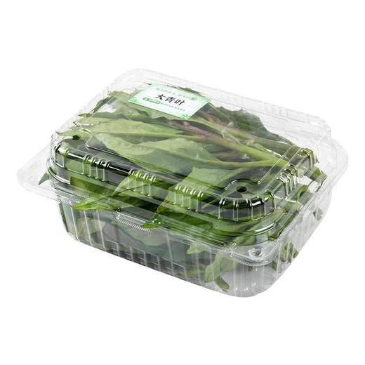 大青叶200g 商品图3
