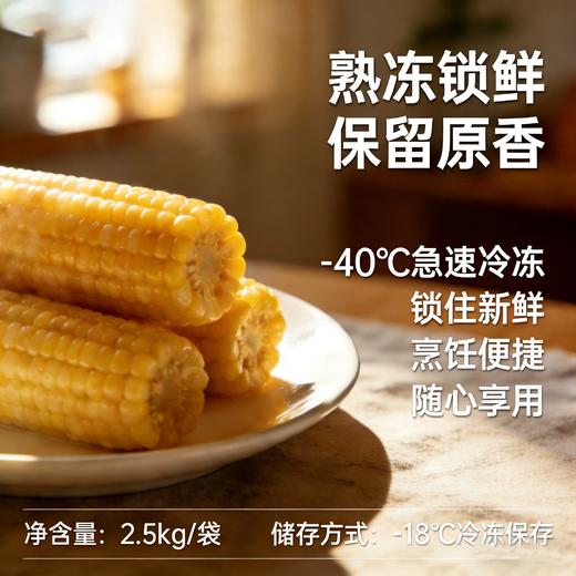 崇明东滩新鲜熟冻白糯玉米—软糯香甜 商品图0
