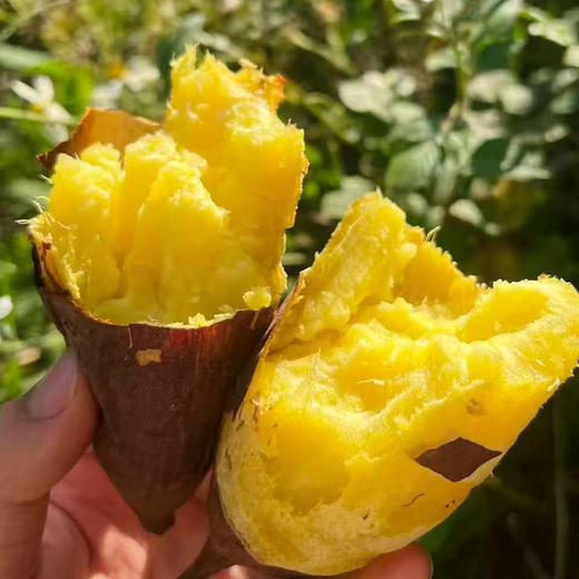 富硒榴莲蜜薯 3斤 商品图1