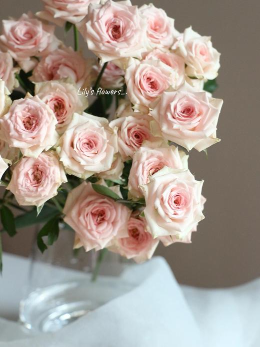 【AB级星悦宝贝多头玫瑰.第二件减10元】5支/份 长约60cm 商品图2