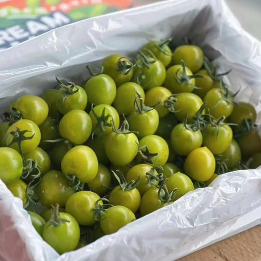 🍀【•翡翠青番茄】🌈维C满满🔥～超精致，爆汁💦清甜，入口就是浓浓的番茄香，秒杀市面上其它品种小番茄💯又甜又低卡‼️ 商品图3