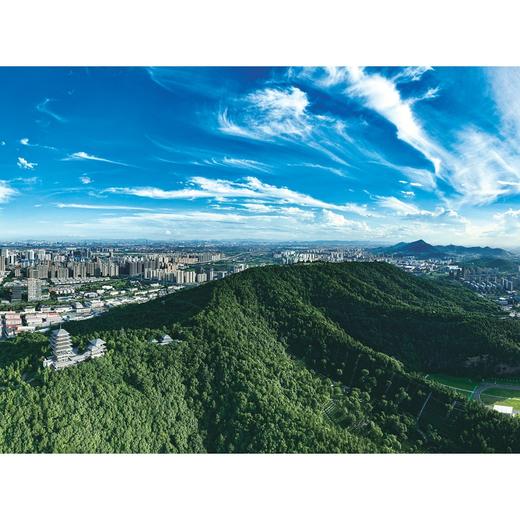 古韵临平，时尚江南/王晓林 绘/浙江大学出版社 商品图2