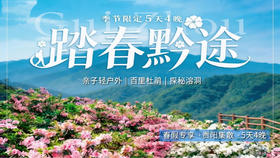 春假4.1-4.5【贵州5天4晚营】去看一年一度“百里杜鹃”盛放！探秘铜鼓荡石林、羊皮洞瀑布，寻龙洞探洞！花季限定、处处是取景框！秘境串联，节奏舒缓，亲子轻徒步，三晚连住不累妈！