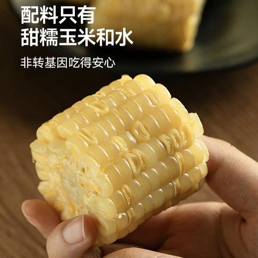 [屁侠推荐]下厨房 双生蜜糯玉米 北京农科院玉米研究中心新品种  220g/根 周四 商品图1