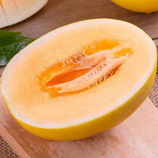 【会员31.5/颗】都知金蛋恐龙蛋黄皮哈密瓜 商品图3