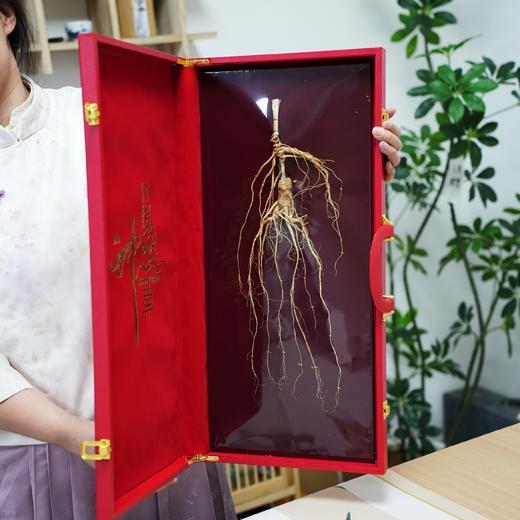 25年长白山人参 礼盒装 商品图2