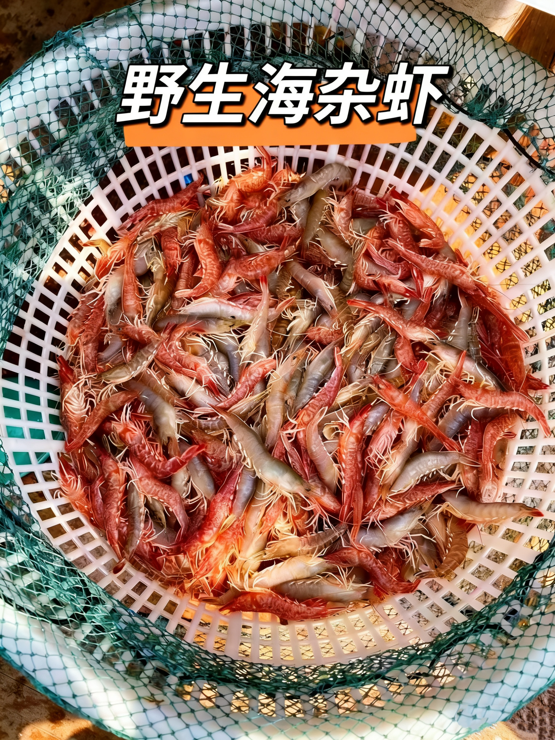 xm【码头直发限时秒杀！】高蛋白低脂｜海鲜杂虾，孩子长身体、老人补营养的好选择！顺丰冷链活冻送到家~