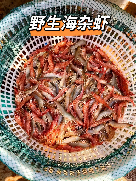 xm【码头直发限时秒杀！】高蛋白低脂｜海鲜杂虾，孩子长身体、老人补营养的好选择！顺丰冷链活冻送到家~ 商品图0