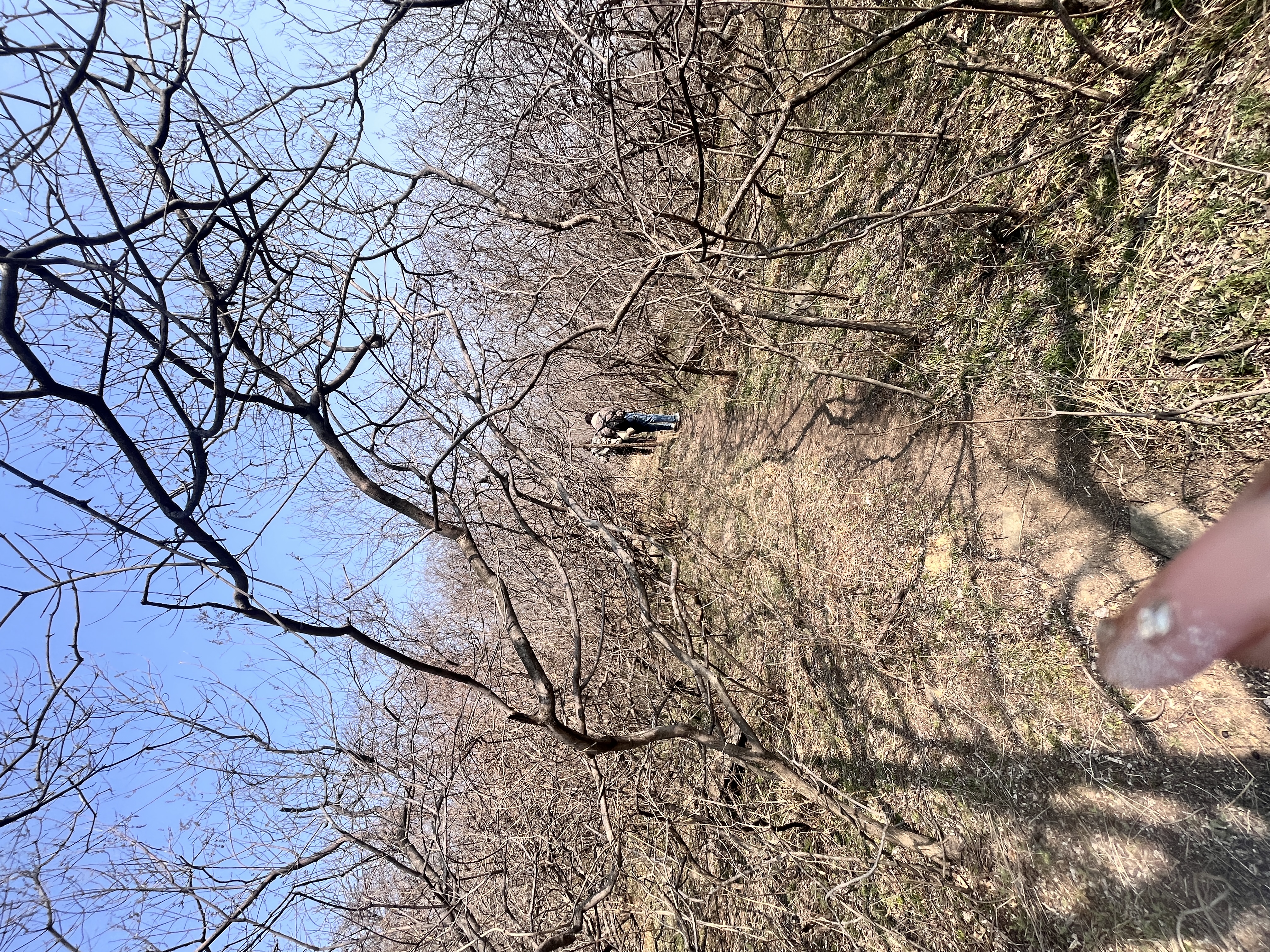 每周一山：3月15日凤凰山亲子徒步