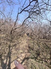 每周一山：3月15日凤凰山亲子徒步