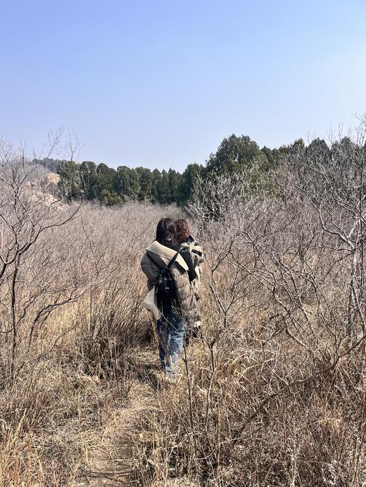 每周一山：3月15日凤凰山亲子徒步 商品图2