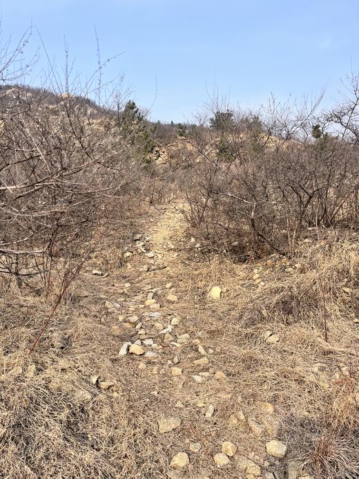 每周一山：3月15日凤凰山亲子徒步 商品图1