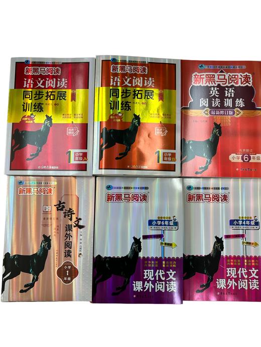 2026黑马阅读现代文课外阅读古诗文课外阅读同步拓展训练英语阅读训练123456年级任选 商品图0
