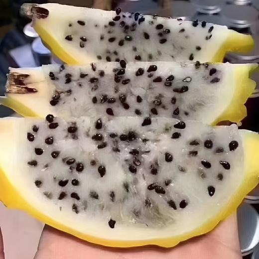 果岭菁礼 海南燕窝果现摘现发香甜多汁果肉细腻水果送礼礼盒 顺丰包邮 商品图1