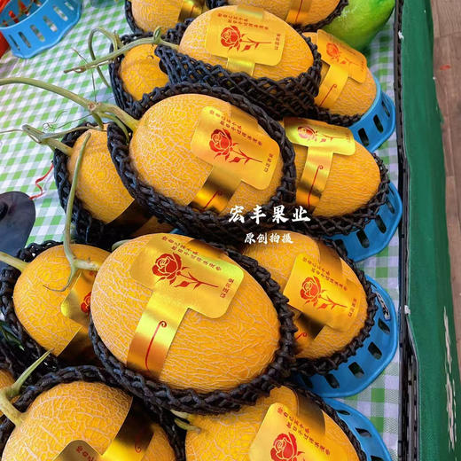 【宏丰精选】 黄金蜜瓜新鲜到货，口感脆甜爽口，活动价9.9元一斤 商品图5