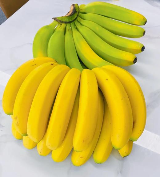 云南威尼斯香蕉，给你软糯香甜，极致的奶油口感，从树上砍下就立马发货，巨甜‼巨软糯‼原生态自然熟，不打药不打保鲜剂 商品图1