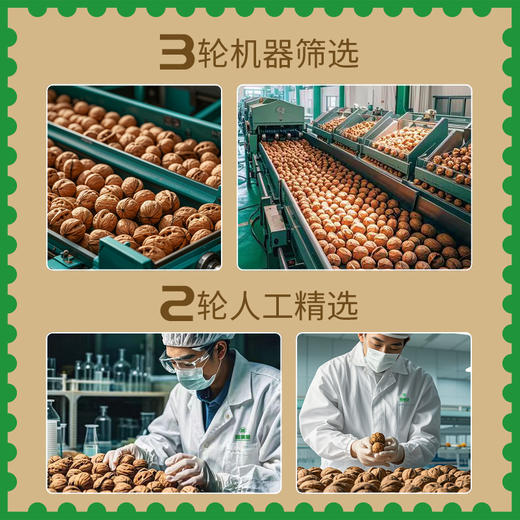 新疆阿克苏大薄皮核桃 350g/包 疆果果 大坚果 商品图2