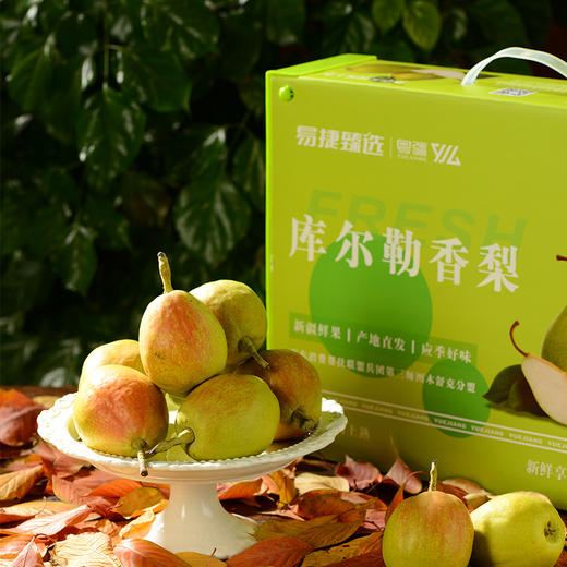 【新疆帮扶】库尔勒香梨 特级母梨礼盒 12个（约4.5斤） 商品图0