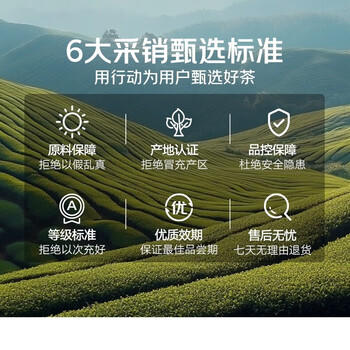 茶里 冷泡茶包 水果茶 T30茶多多96g30包 15种多口味组合 商品图5