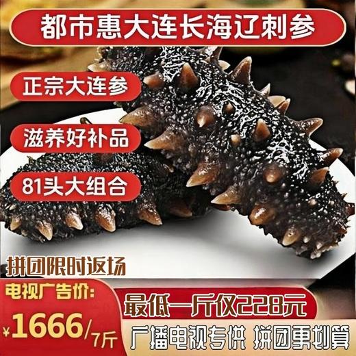 电视推荐【优选5年】正宗大连辽刺参鲜食海参 新春特惠6头大海参滋补组 商品图1