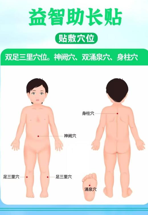 【冰老师】小儿生长贴（外用），春生夏长，简单方便，贴一贴，窜一窜 商品图4