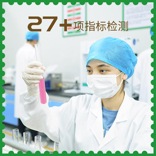 新疆阿克苏大薄皮核桃 350g/包 疆果果 大坚果 商品图3